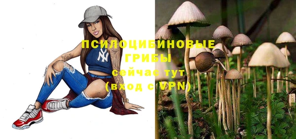 индика Балабаново