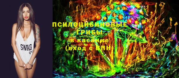 индика Балабаново