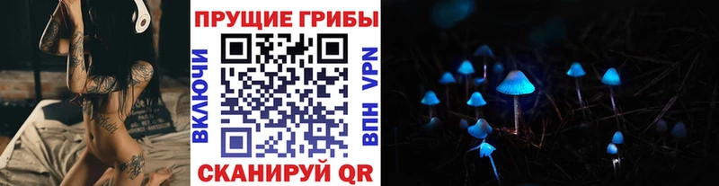 Псилоцибиновые грибы Cubensis Купить закладки Топки
